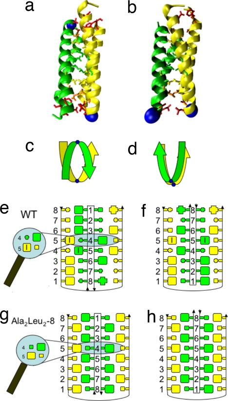 Fig. 1.