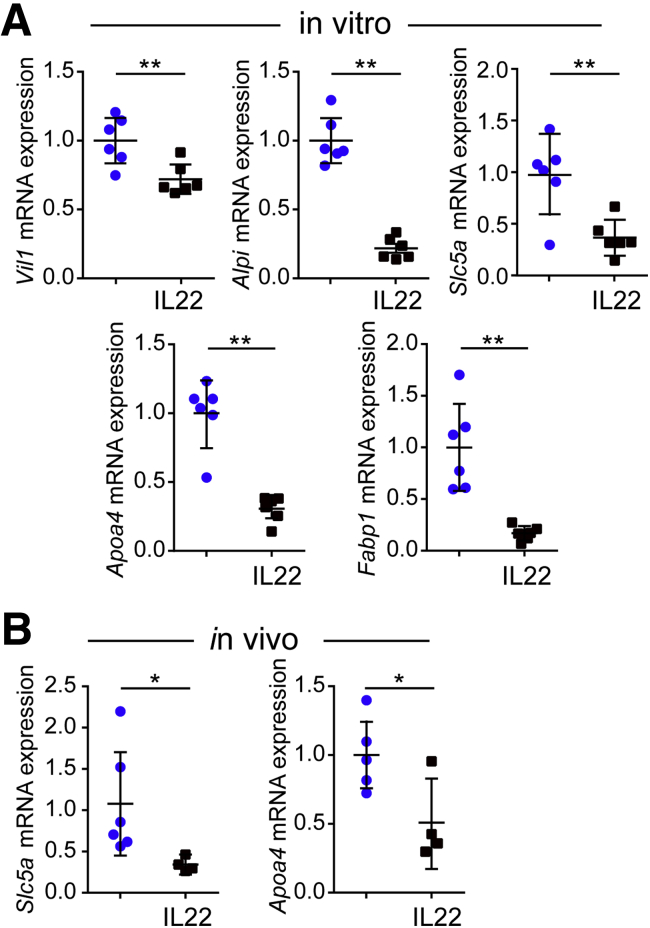 Figure 10