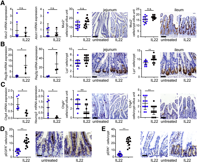 Figure 12