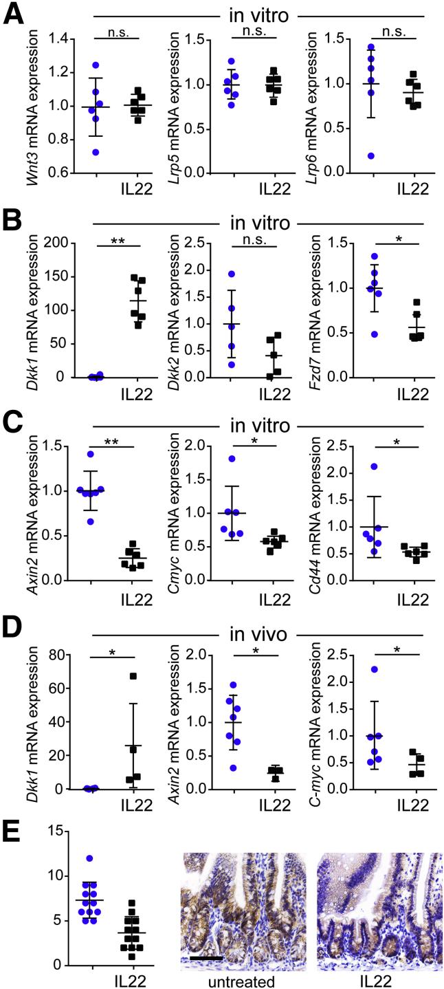 Figure 7