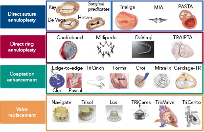 Figure 1: