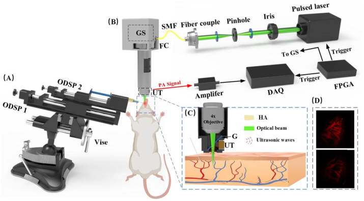 Fig. 1