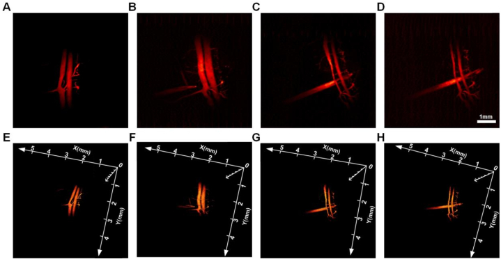 Fig. 3