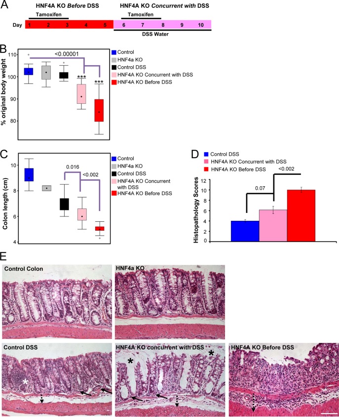 FIG 6