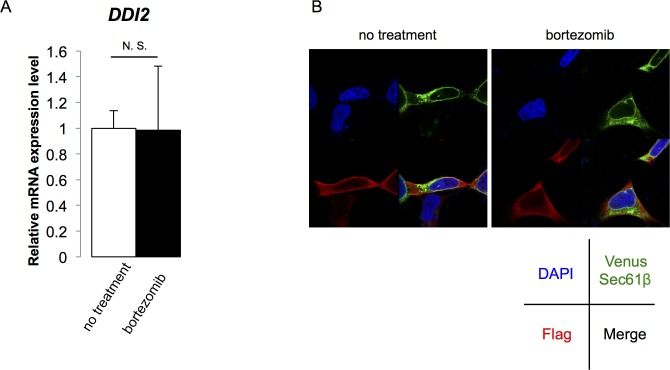 Figure 2—figure supplement 1.