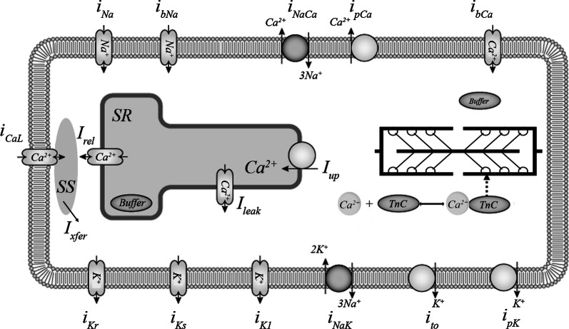 Fig. 1