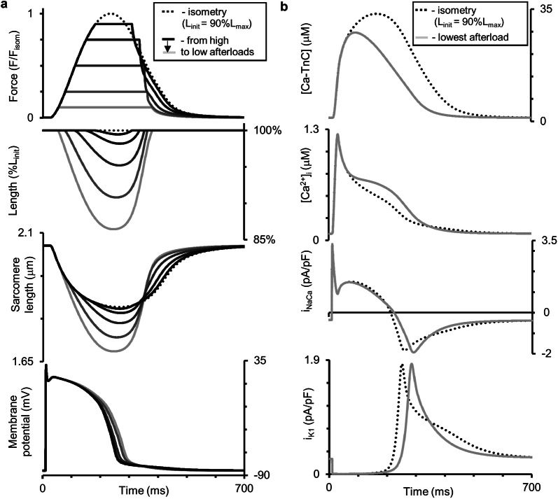 Fig. 7