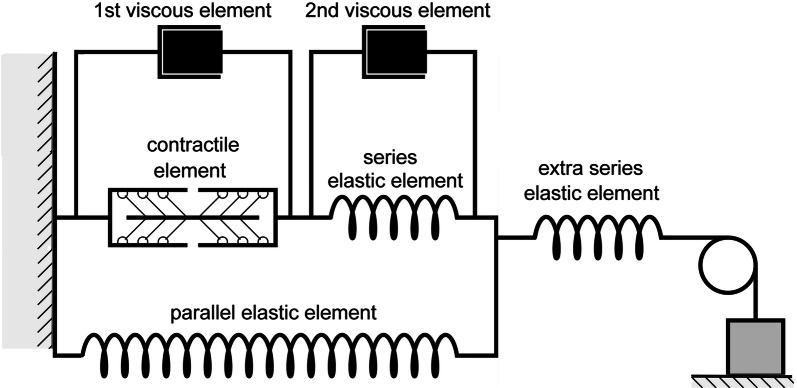 Fig. 2