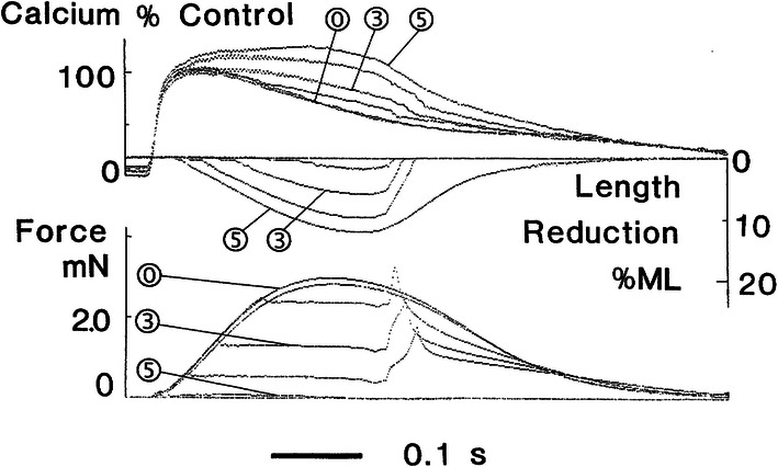 Fig. 5