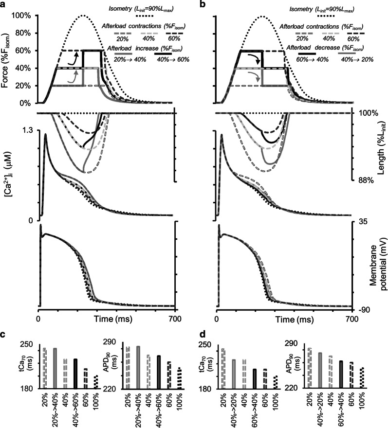 Fig. 11