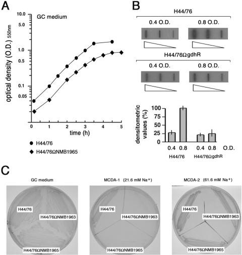 FIG. 6.