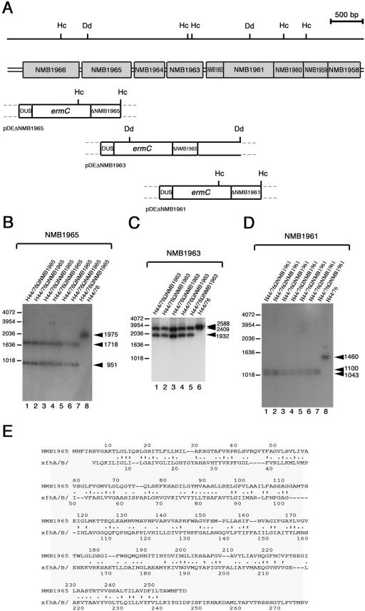 FIG.4.