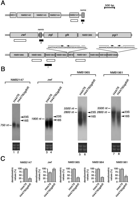 FIG. 2.