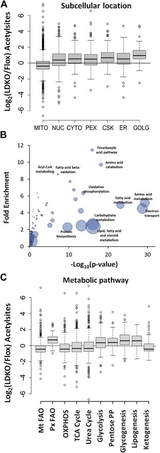 Figure 5