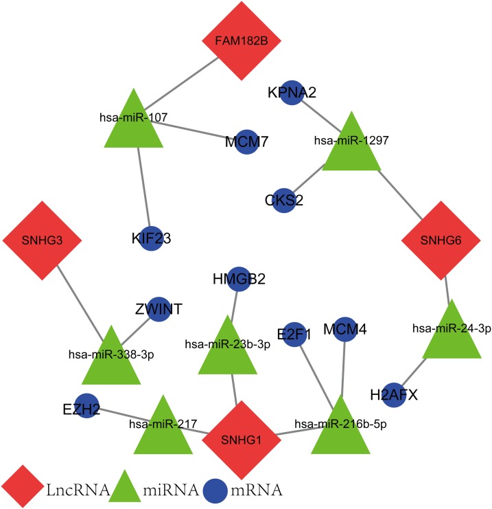 Figure 10