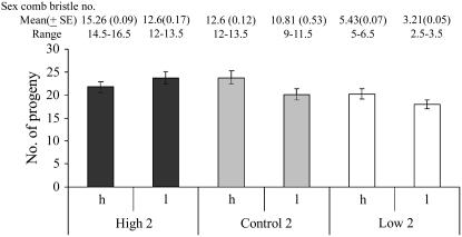 Figure 5.—