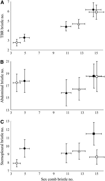 Figure 3.—