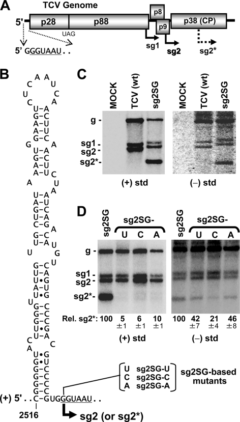 FIG. 1.