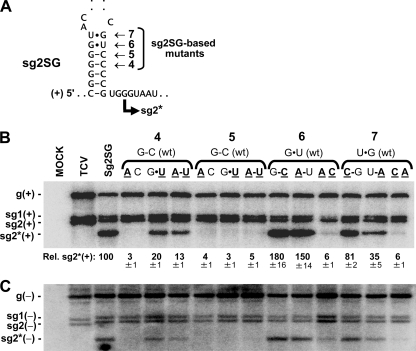 FIG. 2.