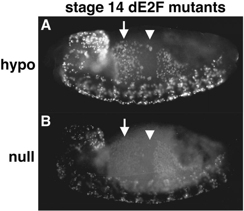 FIG. 6