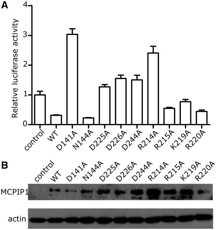 Figure 5.