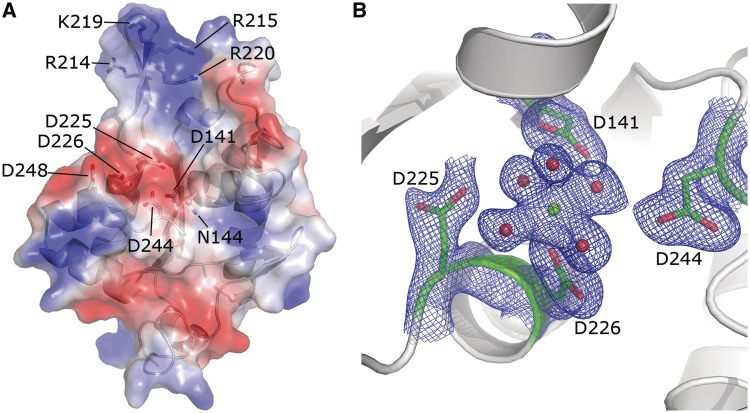 Figure 4.