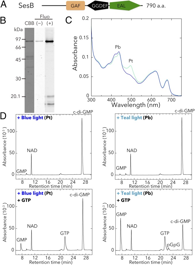 Fig. 2.