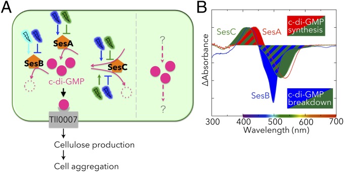 Fig. 7.