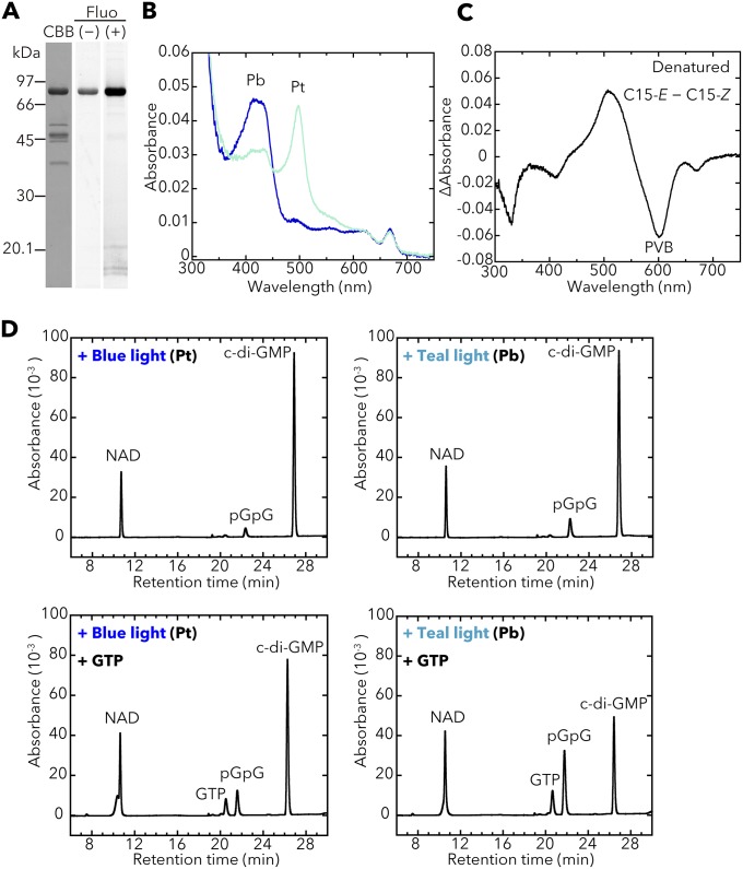 Fig. S3.