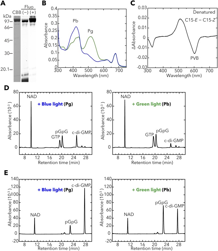 Fig. S4.