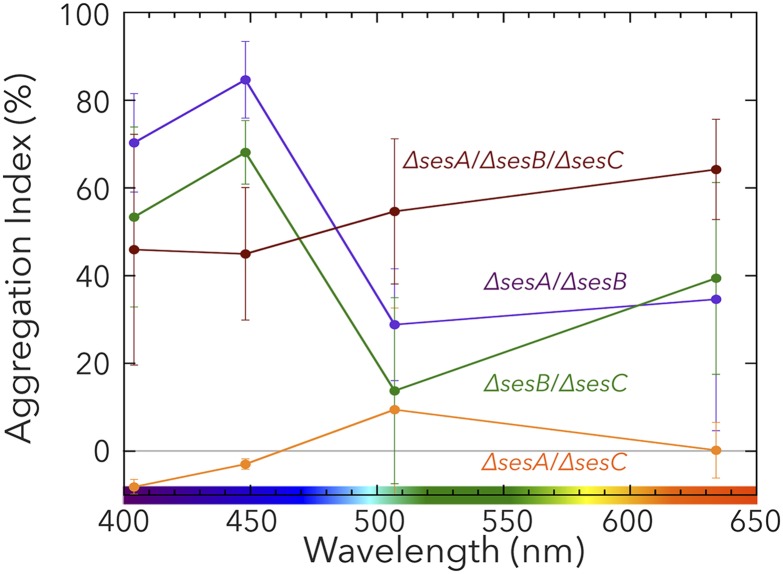 Fig. 5.