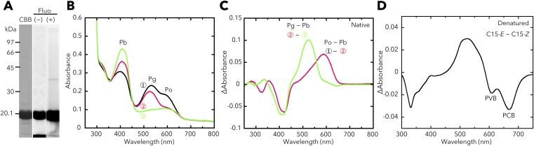 Fig. S6.