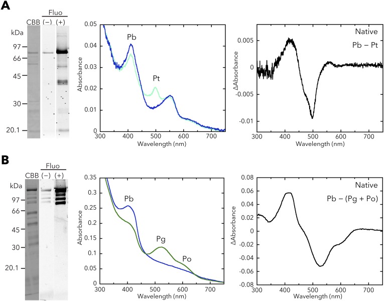 Fig. S5.