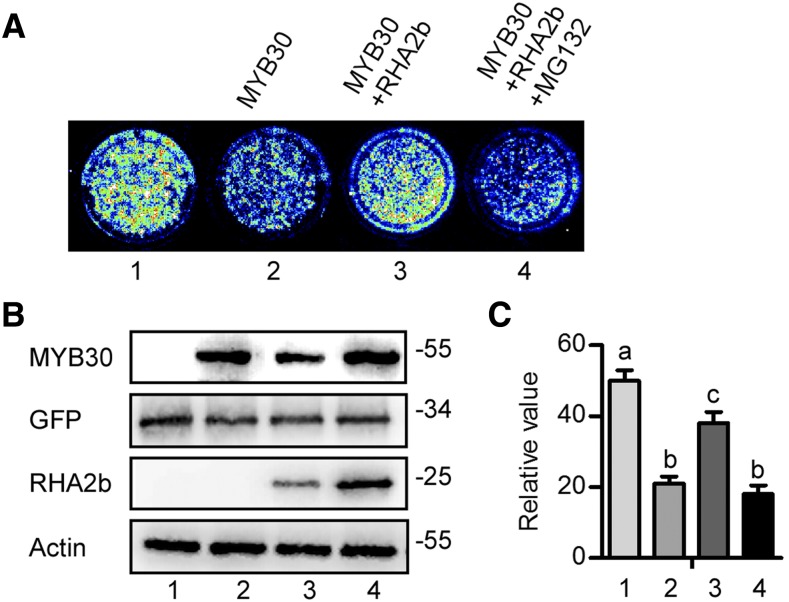 Figure 3.