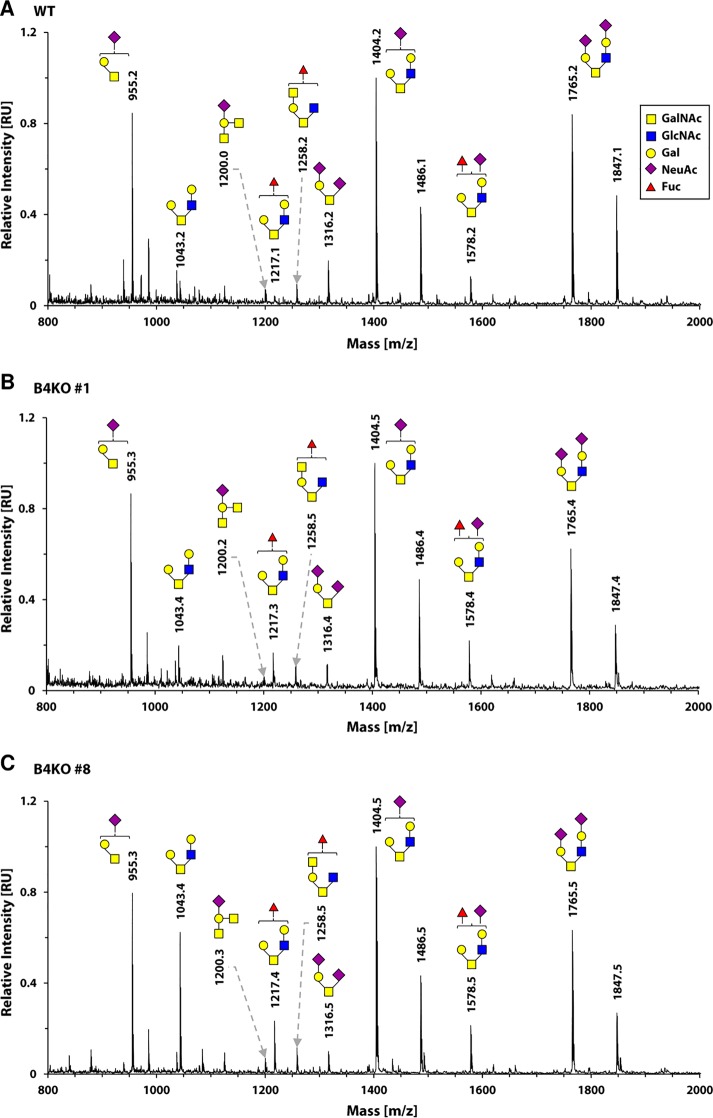 Fig 13