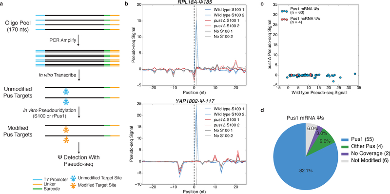 Figure 1: