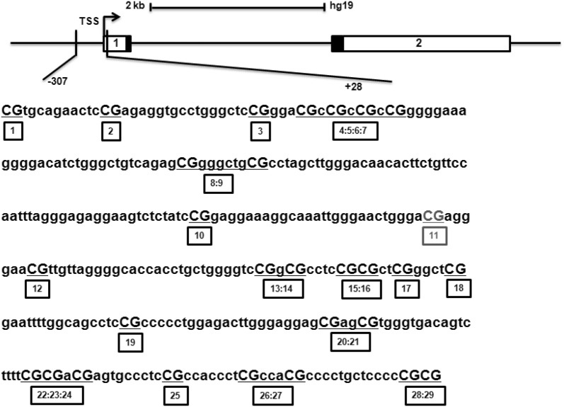 Fig. 1