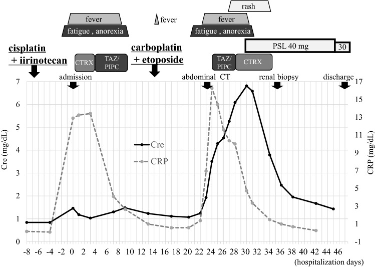 Fig. 4