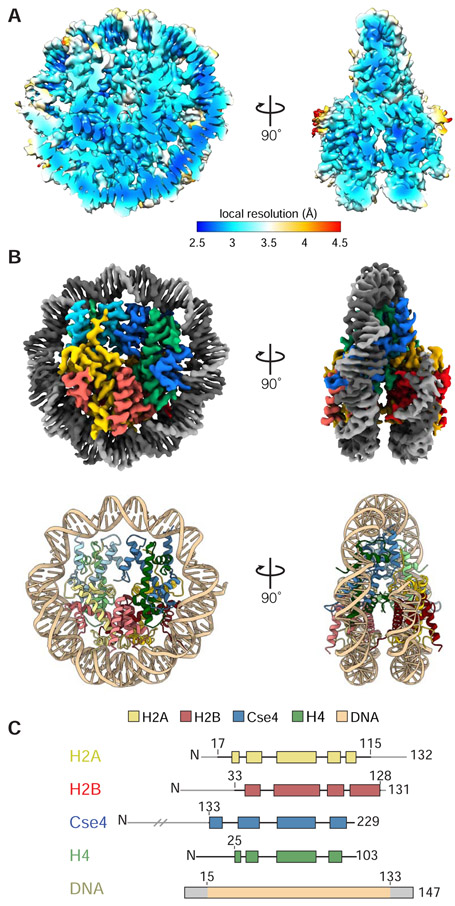 Figure 2.