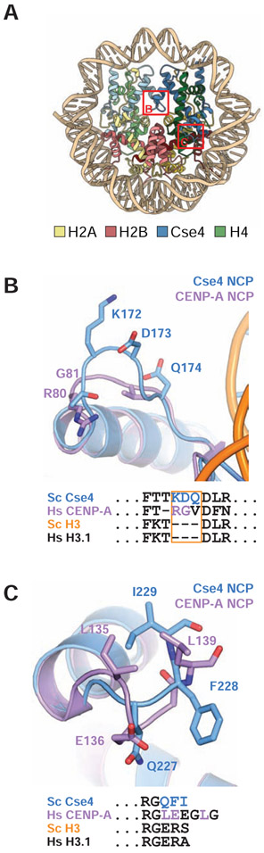 Figure 4.