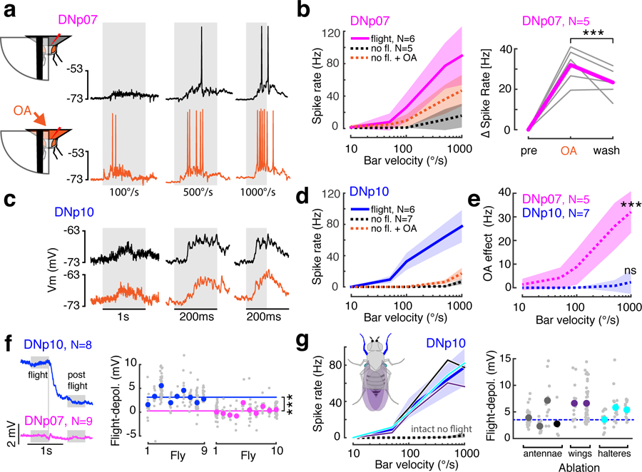 Fig. 4: