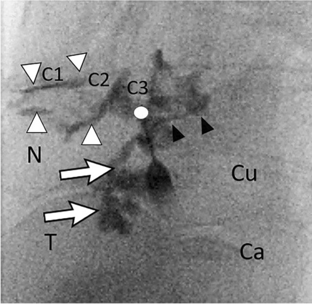 Fig. 27