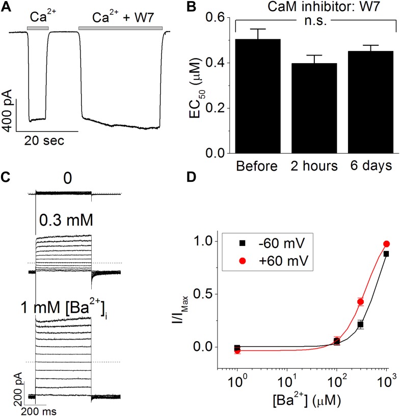 Figure 1—figure supplement 1.