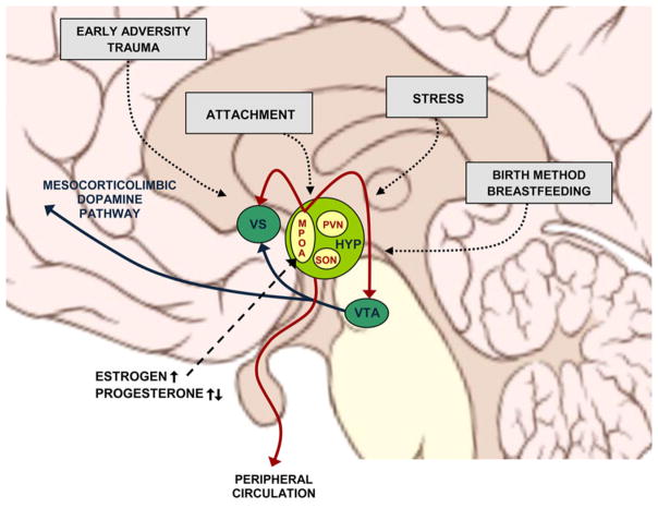 Figure 4.1