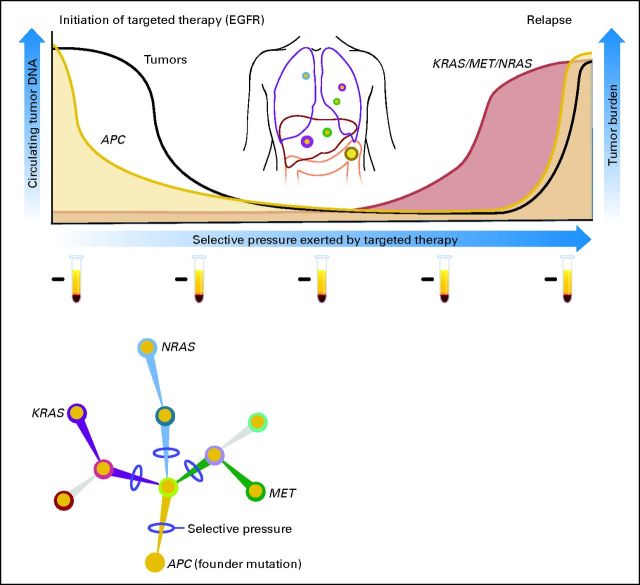 Fig 3.