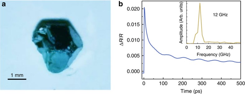 Figure 2