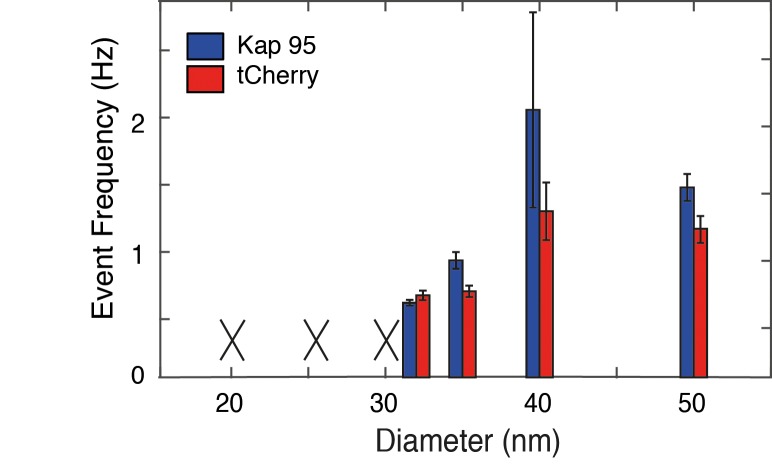 Figure 5—figure supplement 2.