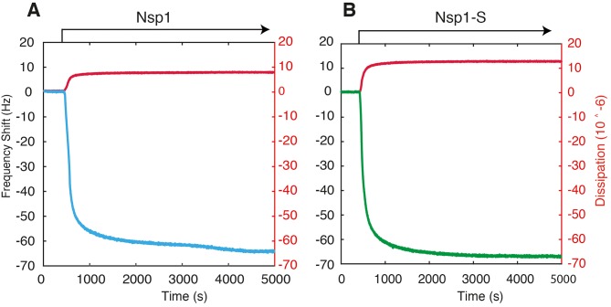 Figure 1—figure supplement 6.