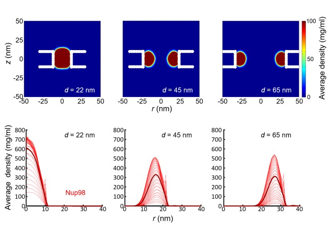 Figure 2—figure supplement 2.