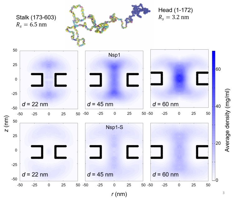 Figure 2—figure supplement 1.